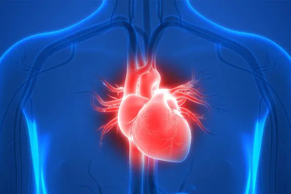 Eat Smart for a Strong Heart