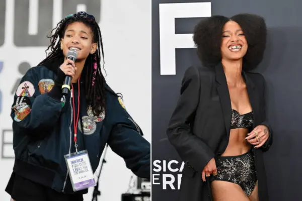 Willow Smith Net